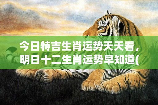 今日特吉生肖运势天天看，明日十二生肖运势早知道(今日特吉生肖运势天天看网址)