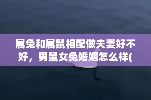 属兔和属鼠相配做夫妻好不好，男鼠女兔婚姻怎么样(属鼠与属兔相配好不好婚姻)