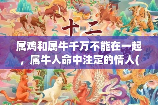 属鸡和属牛千万不能在一起，属牛人命中注定的情人(属鸡属羊千万不能在一起)