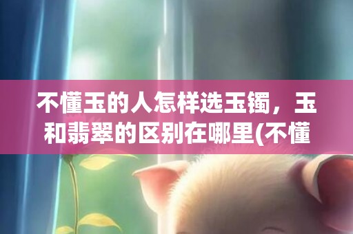 不懂玉的人怎样选玉镯，玉和翡翠的区别在哪里(不懂玉的人怎样选玉镯种水 飘花)