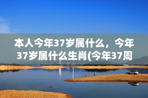 本人今年37岁属什么，今年37岁属什么生肖(今年37周岁属什么)