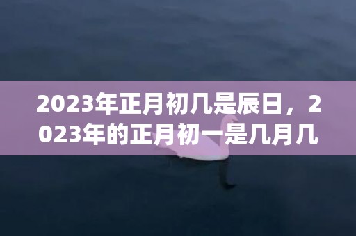 2023年正月初几是辰日，2023年的正月初一是几月几日(2023年正月初九是阳历几号)