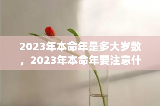 2023年本命年是多大岁数，2023年本命年要注意什么(2023年本命年多少岁)