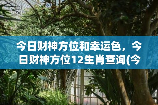 今日财神方位和幸运色，今日财神方位12生肖查询(今日财神方位查询卜易)