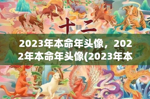 2023年本命年头像，2022年本命年头像(2023年本命年的人是哪年出生的)
