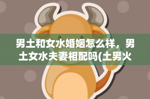 男土和女水婚姻怎么样，男土女水夫妻相配吗(土男火女的婚姻怎么样)
