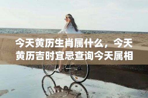 今天黄历生肖属什么，今天黄历吉时宜忌查询今天属相是什么(今天黄历生肖属什么今天正月初七黄历)