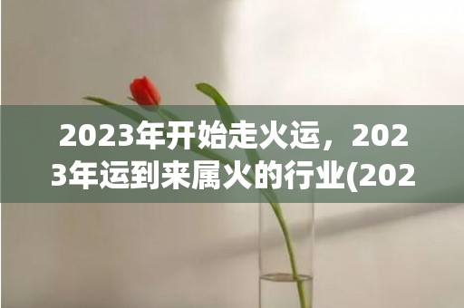 2023年开始走火运，2023年运到来属火的行业(2023年开始走大运的属相)