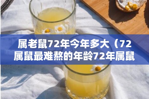 属老鼠72年今年多大（72属鼠最难熬的年龄72年属鼠今年多大）