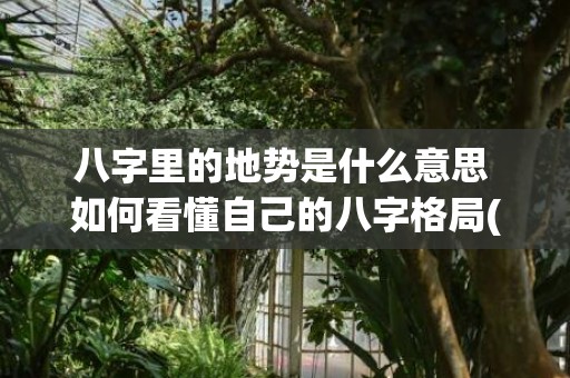八字里的地势是什么意思 如何看懂自己的八字格局(八字里的地势是什么意思)