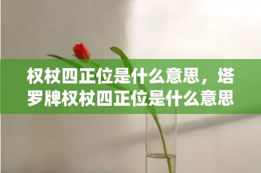 权杖四正位是什么意思，塔罗牌权杖四正位是什么意思(权杖四正是什么人)