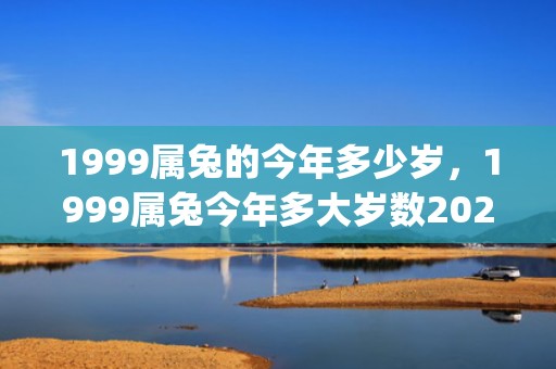 1999属兔的今年多少岁，1999属兔今年多大岁数2020(1999属兔的今年运势怎么样有没有小栽)