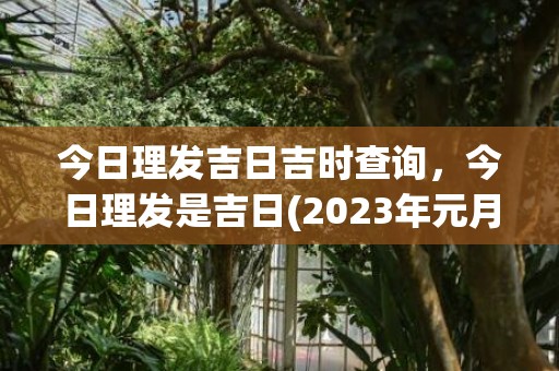 今日理发吉日吉时查询，今日理发是吉日(2023年元月理发吉日吉时查询)