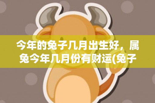 今年的兔子几月出生好，属兔今年几月份有财运(兔子今年几岁2022年)