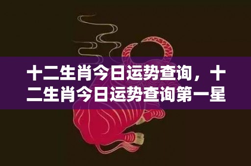 十二生肖今日运势查询，十二生肖今日运势查询第一星座(十二生肖今日运势运程百禧)