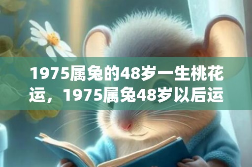 1975属兔的48岁一生桃花运，1975属兔48岁以后运气(1975属兔的48岁)