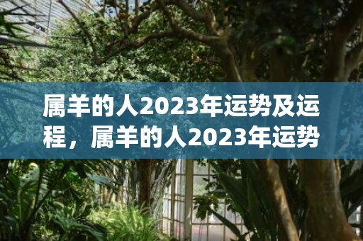 属羊的人2023年运势及运程，属羊的人2023年运势及运程祥安阁(属羊的人2023年)