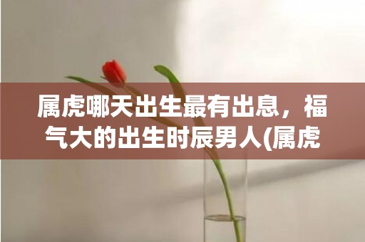 属虎哪天出生最有出息，福气大的出生时辰男人(属虎哪天出生最有出息女孩)