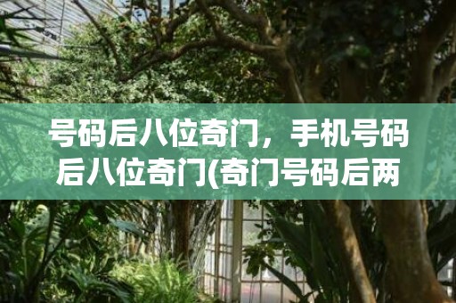 号码后八位奇门，手机号码后八位奇门(奇门号码后两位的作用)