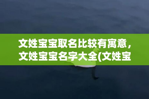 文姓宝宝取名比较有寓意，文姓宝宝名字大全(文姓宝宝取名大全)