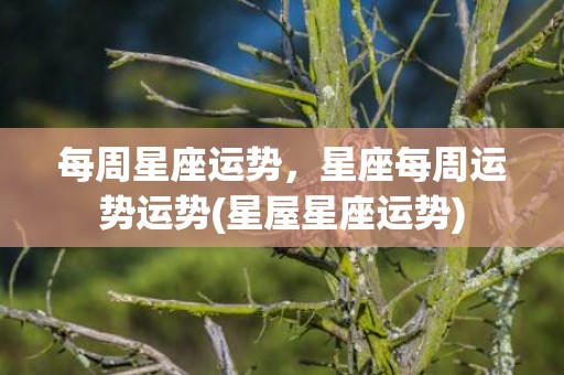 每周星座运势，星座每周运势运势(星屋星座运势)