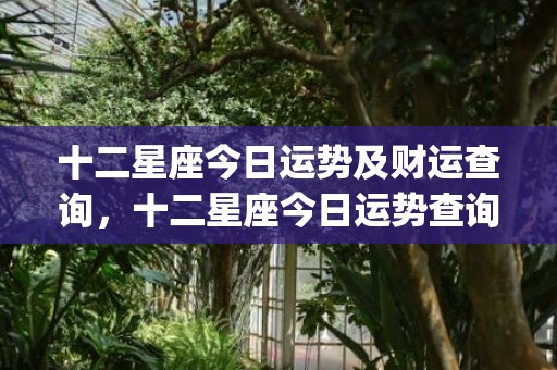 十二星座今日运势及财运查询，十二星座今日运势查询第一星座(十二星座今日运势每日运势查询)