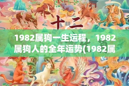 1982属狗一生运程，1982属狗人的全年运势(1982属狗人一生财运)