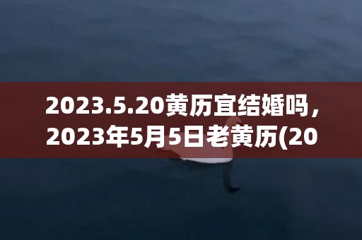 2023.5.20黄历宜结婚吗，2023年5月5日老黄历(2023523双色球开奖结果)