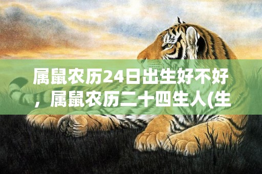 属鼠农历24日出生好不好，属鼠农历二十四生人(生肖鼠农历几日出生命好)