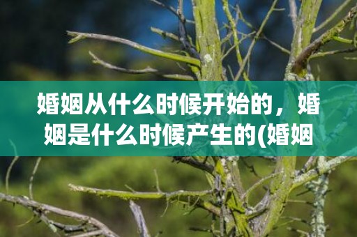 婚姻从什么时候开始的，婚姻是什么时候产生的(婚姻是什么时候出现的)