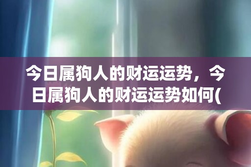 今日属狗人的财运运势，今日属狗人的财运运势如何(今日属狗人的财运运势方位)