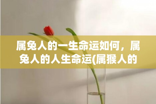 属兔人的一生命运如何，属兔人的人生命运(属猴人的一生命运)