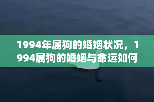 1994年属狗的婚姻状况，1994属狗的婚姻与命运如何(1994年属狗的最佳配偶男)