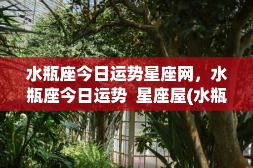 水瓶座今日运势星座网，水瓶座今日运势  星座屋(水瓶座今日运势星籁)