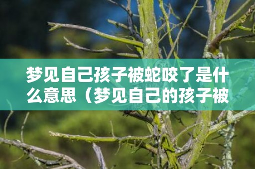 梦见自己孩子被蛇咬了是什么意思（梦见自己的孩子被蛇咬是什么意思梦到自己孩子被蛇咬是什...）