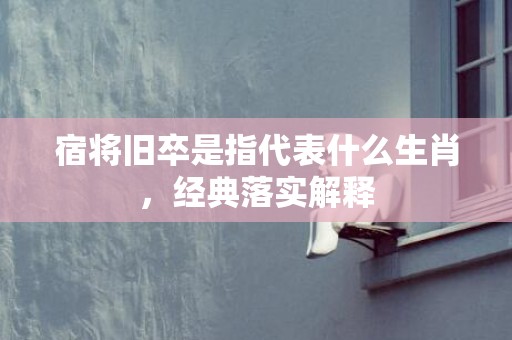 宿将旧卒是指代表什么生肖，经典落实解释