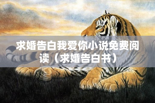 求婚告白我爱你小说免费阅读（求婚告白书）