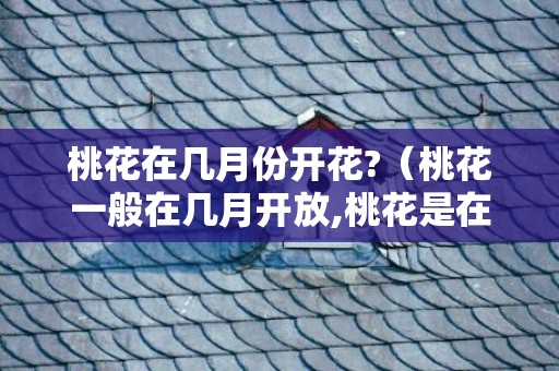 桃花在几月份开花?（桃花一般在几月开放,桃花是在什么季节开的）
