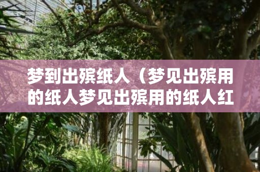梦到出殡纸人（梦见出殡用的纸人梦见出殡用的纸人红色的）