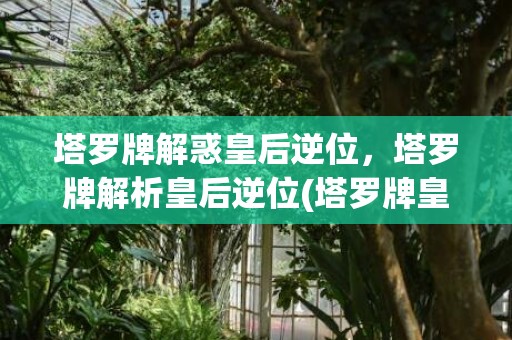 塔罗牌解惑皇后逆位，塔罗牌解析皇后逆位(塔罗牌皇后逆位)