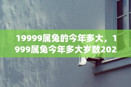 19999属兔的今年多大，1999属兔今年多大岁数2020(1999属兔24岁以后运气如何)