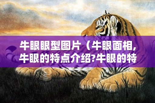 牛眼眼型图片（牛眼面相,牛眼的特点介绍?牛眼的特征）