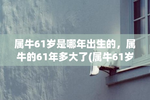 属牛61岁是哪年出生的，属牛的61年多大了(属牛61岁是哪年出生的)