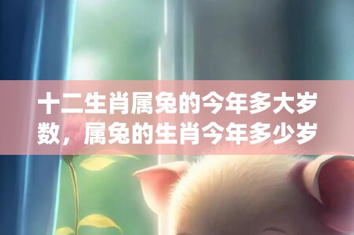 十二生肖属兔的今年多大岁数，属兔的生肖今年多少岁(十二生肖之天下属兔)