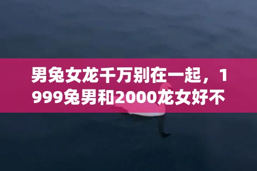 男兔女龙千万别在一起，1999兔男和2000龙女好不好(男兔女龙千万别在一起)