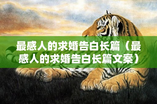 最感人的求婚告白长篇（最感人的求婚告白长篇文案）