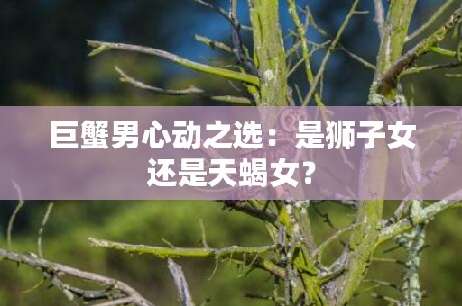 巨蟹男心动之选：是狮子女还是天蝎女？