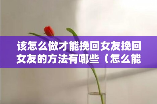 该怎么做才能挽回女友挽回女友的方法有哪些（怎么能够挽回女朋友）