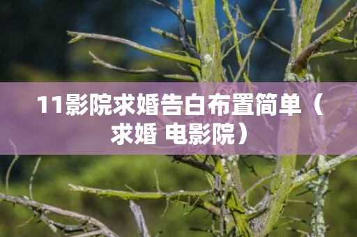 11影院求婚告白布置简单（求婚 电影院）