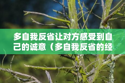 多自我反省让对方感受到自己的诚意（多自我反省的经典古训）